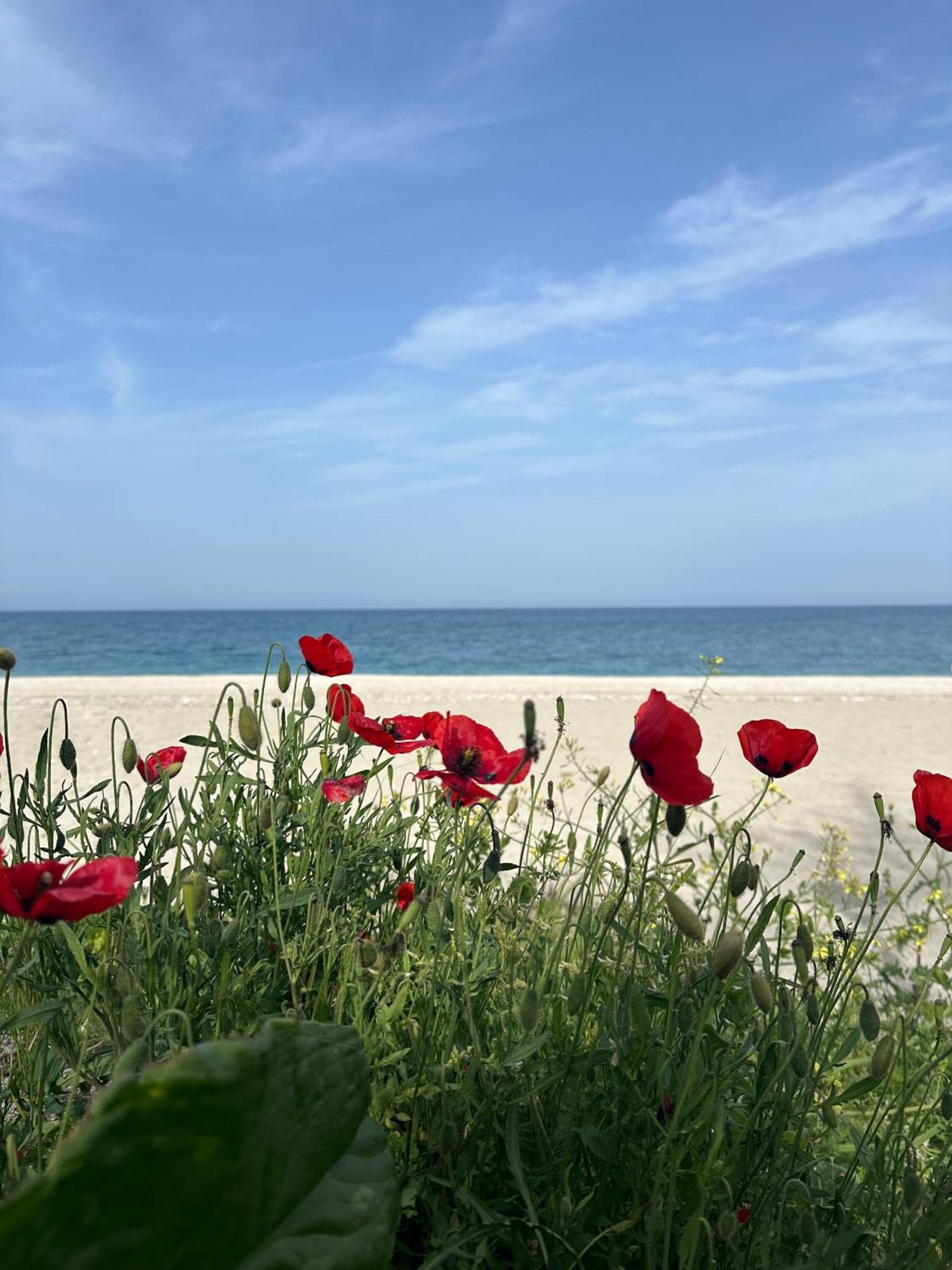 Amelia Beach Apartments Agios Ioannis  Esterno foto